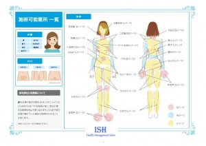 女性用脱毛施術個所