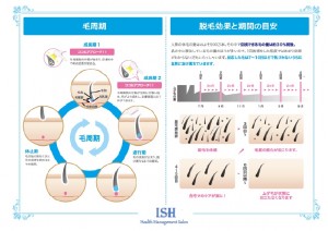 女性用脱毛毛周期